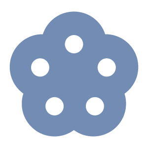 17全球夥伴RA100地球解方